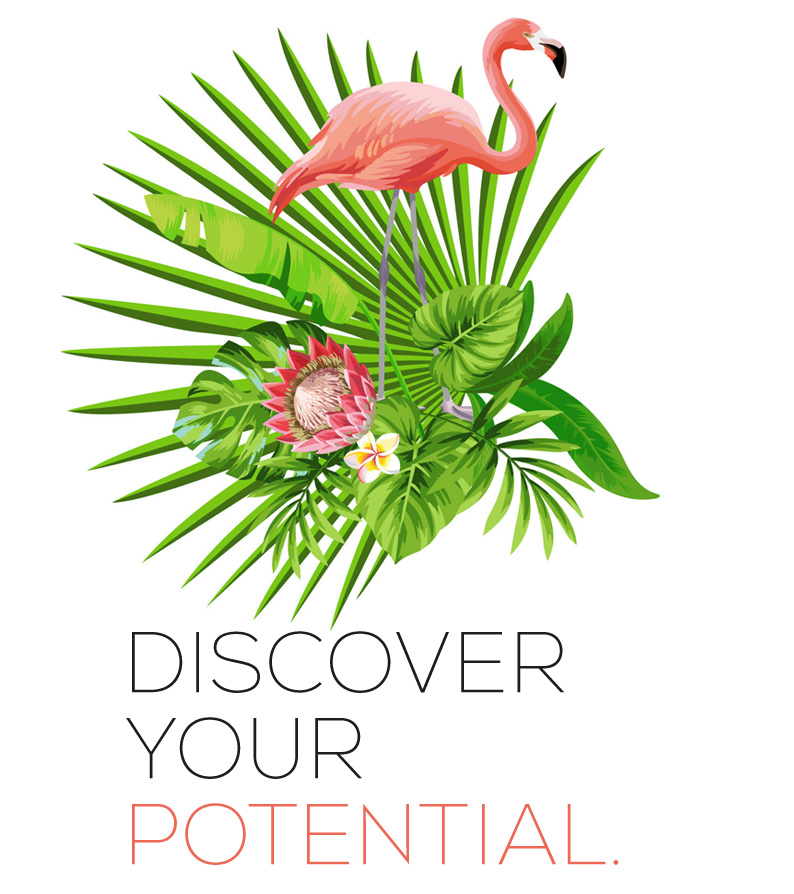 Discover your potential