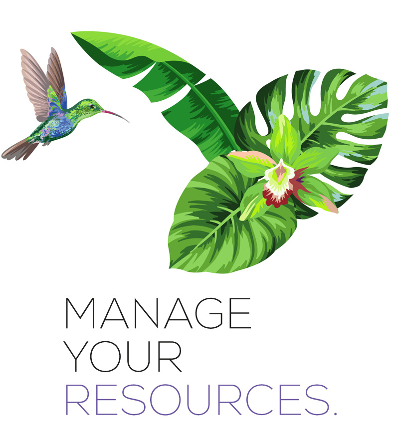 Manage your resources